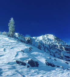 GreteEliassen_HoneycombCanyon_SolitudeMountainResort_Utah_Skiing_Landscape.png